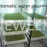 Neweek Automatic Water Pouting Alfalfa Growing Barley Bean Sprout Machine thumbnail-5