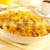 Cheap Hot Sale Promotion Automatic Nestle Corn Flakes Machine thumbnail-4