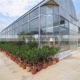 The Cheapest Hot Sale and Easily Installed Commercial Greenhouse thumbnail-3