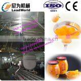 Professional and Factory Price Orange Canned Production Line thumbnail-2
