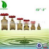 Forged Brass Gate Valve thumbnail-1