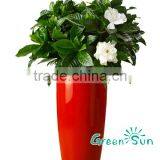 Plastic Flower Planter Pots for Home and Garden thumbnail-2