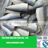 Frozen Mackerel thumbnail-1