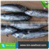 Carton or Woven Bag Packed Without Faure Marin China Manufacturer Bonito thumbnail-2