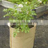 Non Woven 5 Gallon Growing Planter Bag thumbnail-1