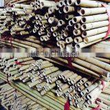Excellent Quality Factory Price Garden Bamboo Canes for Sale thumbnail-4