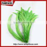 Dyed Color Big Long Natural Grizzly Rooster Feathers for Sale thumbnail-2