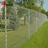 8FT Galvanized and PVC Coated Chain Link Fence for Protection