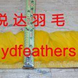 Hen/Chicken Feather Fringe/Trim From China