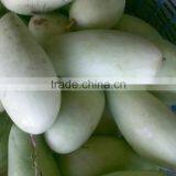 Fresh Yellow Mango With High Quality/ Large Quantity/ Best Price Vietnam thumbnail-3