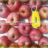 Wholesale Price Apple Fruit From China/Fresh Apples thumbnail-3