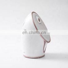 Горячее предложение! OEM 300Вт 155 мл электрический паровой аппарат для лица, портативный паровой аппарат для лица 2021 года с горячим и холодным распылением thumbnail-5