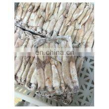 High Quality IQF BQF Chinese Squid for Bait