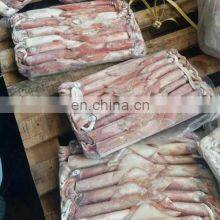 New Arrival High Quality Frozen Red Squid Loligo