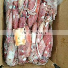 Wholesale Squid Loligo Seafood Loligo