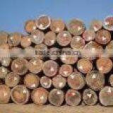 Cheap Price Keuring Veneer thumbnail-1