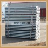 All series of construction steel acrow prop