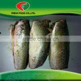 Fresh Canned Mackerel thumbnail-1