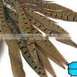 Wholesale Reeves Pheasant Tail Feathers, Natural Pheasant Tail Feathers thumbnail-1