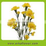 Reasonable Price Hot Sale Fresh Cut Orchids and Carnation thumbnail-4