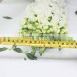 Reasonable Price Hot-sale High Germination Snapdragon Seeds thumbnail-4