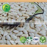 2015 Edible Shine Skin Pumpkin Seeds For Sale thumbnail-3