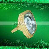 IP65 Induction Explosion Proof Flood Light
