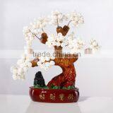 Chinese Money Trees Hot Sales thumbnail-1