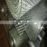 Expanded Plastic Wire Mesh From Factory thumbnail-3
