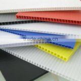 pp Sheet thumbnail-3