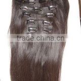Human Hair Extension - Clips on Hair / Clips in Hair / Wigs