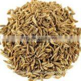 Cumin Seed Oil (Co2) thumbnail-1
