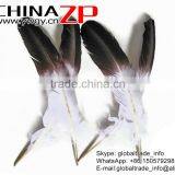 CHINAZP Wholesale Cheap Brown Half Dipped Bicolourable Turkey Feathers for Fashion Decorations thumbnail-3
