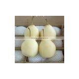 ya Pears 2015 for Sales thumbnail-3