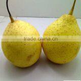 2014 new ya pear