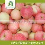 Fresh Fruit Red Dilicious Royal Apple Gala Wholesale thumbnail-1