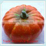 Artificial Pumpkin Halloween Props Faux Vegetables Pretend Display/Yiwu Sanqi Craft Factory thumbnail-5