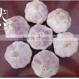 YUYUAN Brand Hot Sail Fresh Garlic Black Garlic Extract thumbnail-1