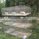 Electro Galvanized Wire Steel Pet Cage / Wire Rabbit Cage thumbnail-3