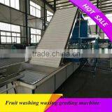 3ton/h Food Grade Industrial Fruit Fish Cassava Fruit Washing Grading Waxing Machine thumbnail-1