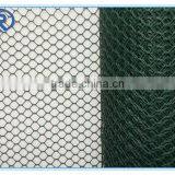 Hexagonal Netting Chicken Wire Hexagonal Wire Mesh With Green Plastic Finish thumbnail-2