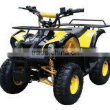 800W Brushless Motor / Shaft Elelctric Quad ATV 800W (TKE-A800-G) thumbnail-2