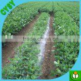 Promotional Mulch Film Price, Top Mulch Film Quality, Popular Agricultural Mulch Film at Home and Abroad thumbnail-5