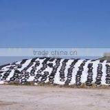 Silage Cover(green/black, Green/yellow Color Silo Sheeting) thumbnail-4