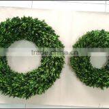 16'' Natural Boxwood Wreath Preserved thumbnail-2