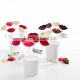 Pop Kiss Biscuit Chocolate Mold Lip Shaped Lollipops Silicone Form thumbnail-5