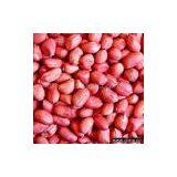 Red Skin Peanut Kernels thumbnail-1