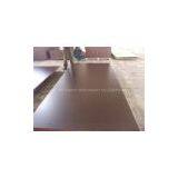 Film Faced Plywood thumbnail-1