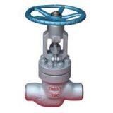 The power station Globe valve