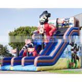 HI Giant 9x7x6Hm Pirate Inflatable Water Slides China for Sale